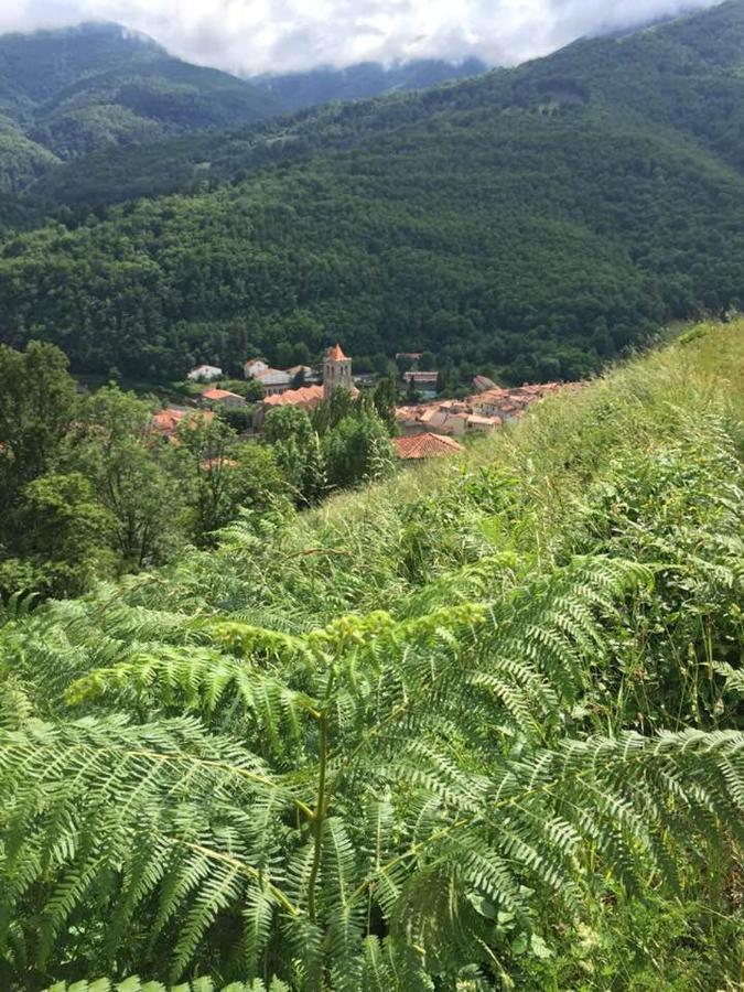 T2 Petite Terrasse Coeur De Ville Prats-de-Mollo-la-Preste Eksteriør billede